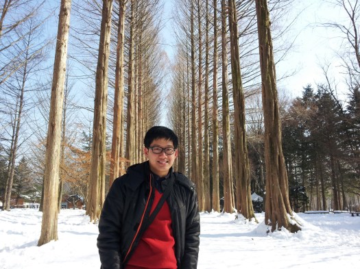 The Beauty of Nami Island