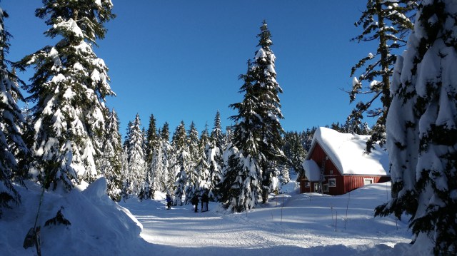 Can you tell what this picture reminds you of while you are seeing it?