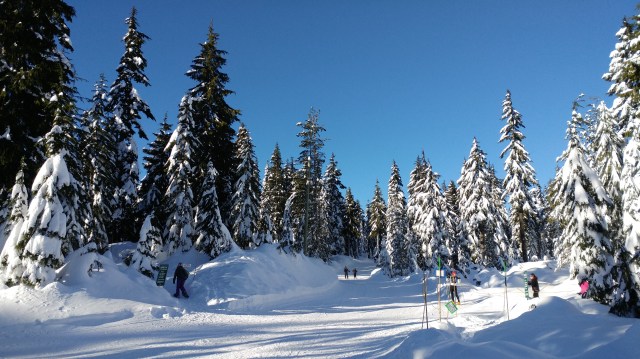 Do you feel like being in any Christmas movie?