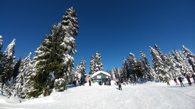 One of the best views today.