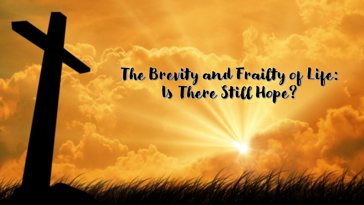 The Brevity and Frailty of Life